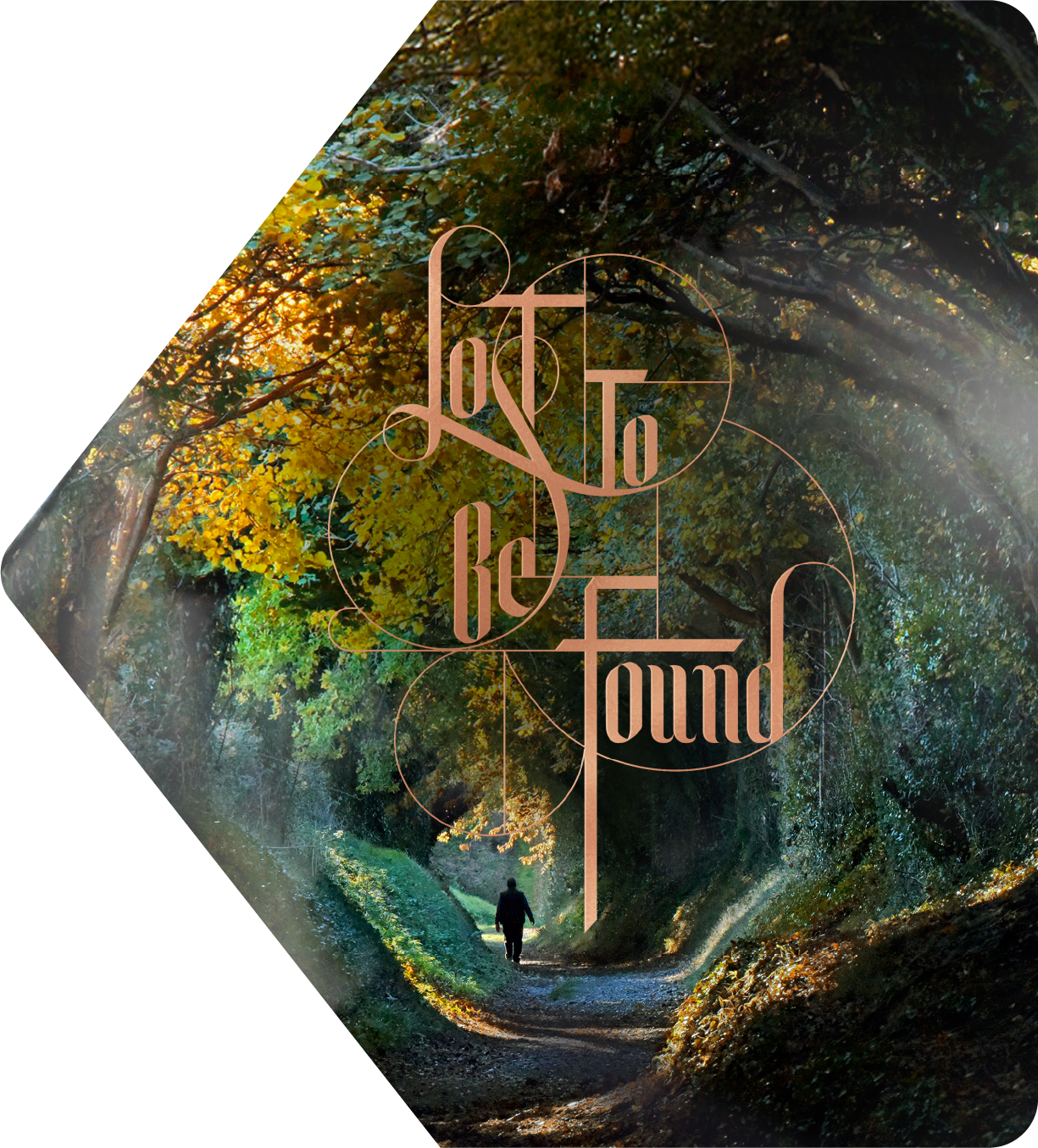Lost To Be Found